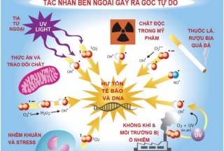 TÌM HIỂU VỀ TÁC NHÂN GÂY UNG THƯ (CARCINOGEN)